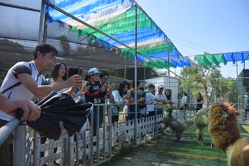 6686体育园区党委举办了以“不忘初心·牢记使命”为主题的主题党日活动